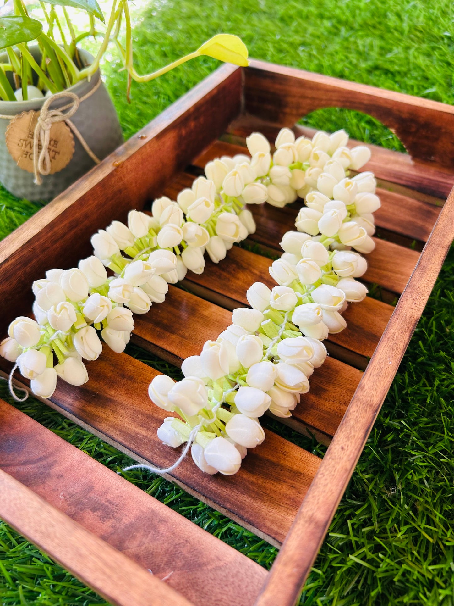 Jasmine buds