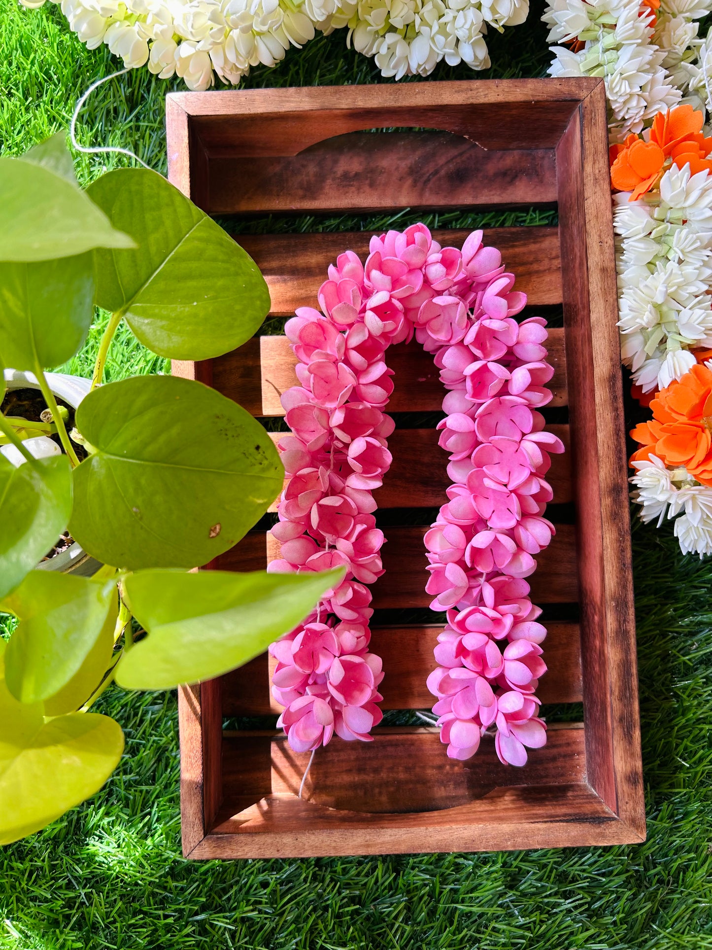 Pink arali