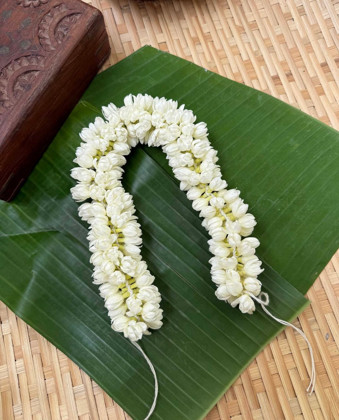 Half Bloomed Jasmine