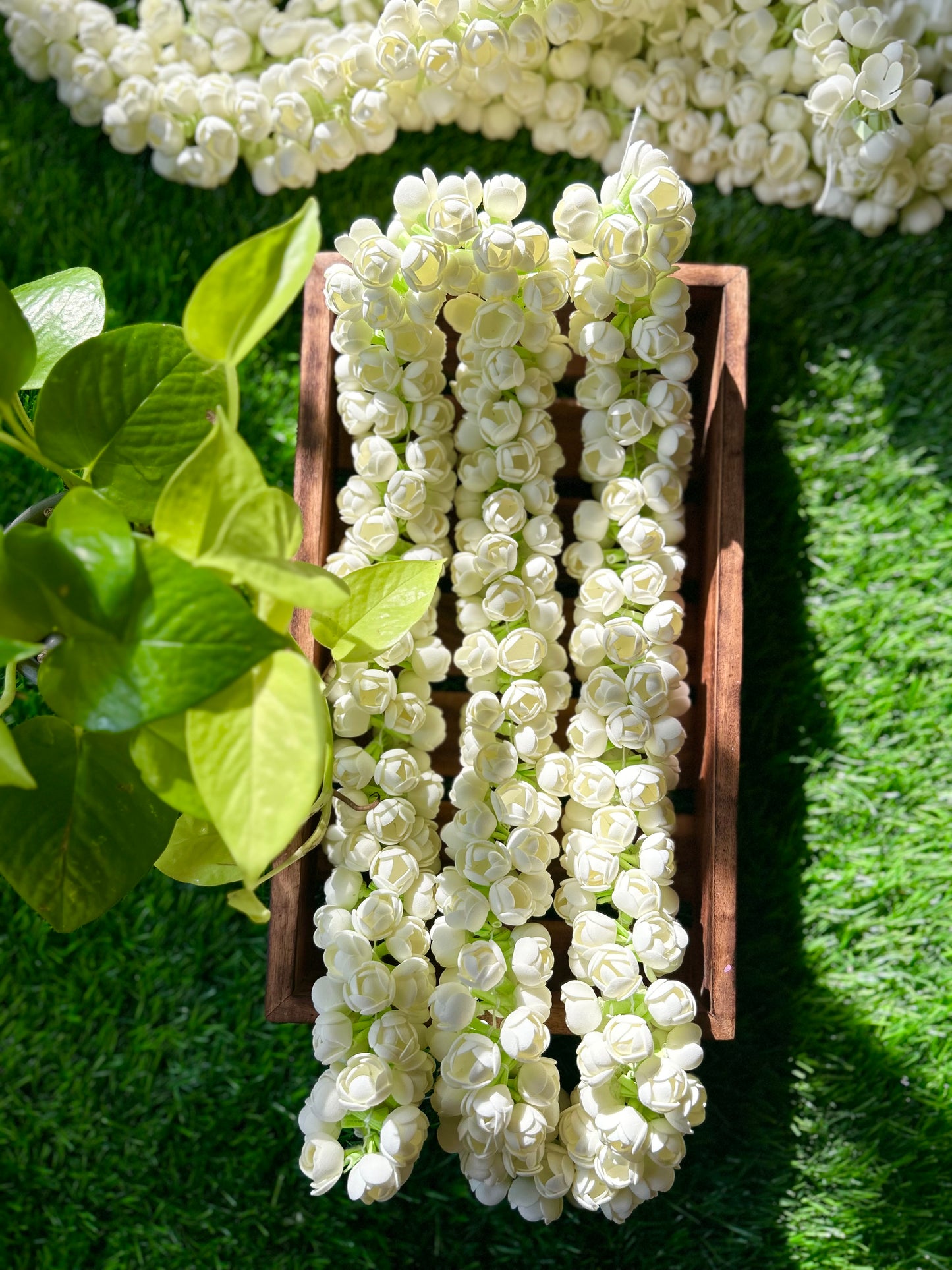 Double layer jasmine