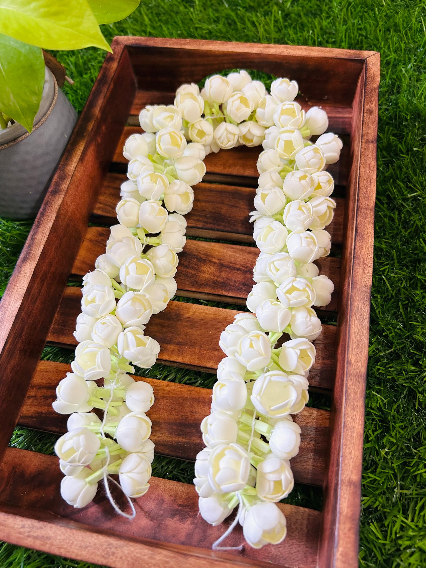 Double layer jasmine